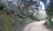 Tour Wandern Laroque-des-Albères - Laroque-des-Albères, petit tour des mas  - Photo 13