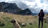 Randonnée Marche Saint-Pierre-de-Chartreuse - Correrie_Col de la Ruchère_Petit Som_Col de l'Echaud_Pas du Loup - Photo 19