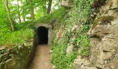 Tour Wandern Écaussinnes - Balade à Ecaussinnes - Photo 4