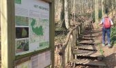Tour Wandern Gooik - Oetingen - Photo 4