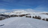 Tour Schneeschuhwandern Roubion - PIN POURRI - Photo 3