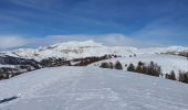 Randonnée Raquettes à neige Roubion - PIN POURRI - Photo 3