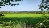 Trail Walking Durbuy - Wéris - Photo 4