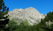 Trail On foot Deutschnofen - Nova Ponente - (SI C15N) Obereggen - Bivio Rifugio Coronelle - Photo 5