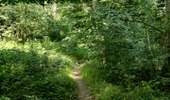Trail Mountain bike Soignies - VTT_Boucle Casteau - Le Roeulx (39km) - Photo 2