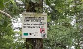 Tour Wandern Sankt Didel - Balade autour du Col de la Crenée - Photo 11