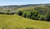 Tour Rennrad Langogne - NAUSSAC - COL DE LA PIERRE PLANTEE - Photo 5