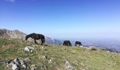 Excursión Senderismo Beyrède-Jumet-Camous - signal de Bassia, Plo de Berdaoulou - Photo 1