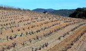 Trail Walking Pierrefeu-du-Var - SityTrail - cabane des gardes-Pierrefeu-25-02-22 - Photo 19