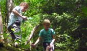 Tour Wandern Daverdisse - Porcheresse - Photo 5