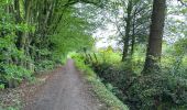 Trail Walking Herent - Winksele 16 km - Photo 9