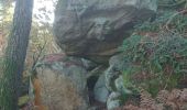 Trail Walking Fontainebleau - rocher d'Avon 13 janvier 2023  - Photo 1