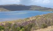 Tour Wandern La Trinité - Presqu'île de la caravelle  - Photo 18