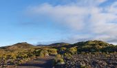 Trail Walking Sainte-Rose - Piton de Bert - Photo 2