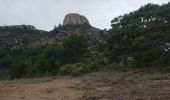 Tocht Stappen Plan-d'Aups-Sainte-Baume - Tour Cauvin, dents de Roque forcade ,Grande baume - Photo 1