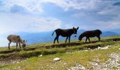 Trail On foot Malcesine - Sentiero delle Creste - Photo 2