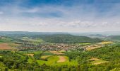 Tour Zu Fuß Wanfried - Premiumweg P5 Plesse - Photo 4