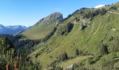 Excursión Senderismo Verchaix - col du jour plane . la bourgeoise . pointe d angolon  . nyon du crot . col de joux  plane  - Photo 10