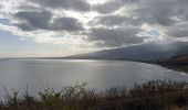 Trail Walking Saint-Paul - Boucle dans la Savane depuis le cap de la Houssaye - Photo 5