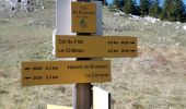 Trail Walking Saint-Pierre-d'Entremont - col cucheron grande Som_col de Bevinant_Col de fret - Photo 7
