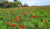 Tocht Stappen Coincy - Coincy du 23-11-2023 - Photo 1