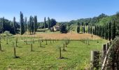 Tour Wandern Villafranca in Lunigiana - CR_Francigena_CF_29_Villafranca-In-Lunigiana_Aulla_20220611 - Photo 6