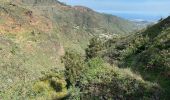 Randonnée Marche Tejeda - Barranco de la Mina (Gran Canaria) - Photo 9