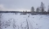 Randonnée Marche Stavelot - Hockai - Le Trôs Maret - La Fagne du Fraineu - Photo 6