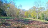 Trail Walking Liège - angleur gare . sart tilman via bois St Laurent.retour via bois St jean - Photo 20