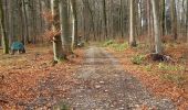 Trail On foot Weiningen (ZH) - Weiningen - Oetwil - Photo 9