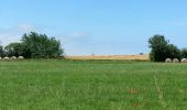 Tour Wandern Huisnes-sur-Mer - Mont-St-Michel - 14km 64m 4h30 - 2017 06 26 - Photo 12