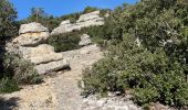 Trail  Plan-d'Aups-Sainte-Baume - Rando Chantal  - Photo 15