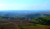 Tour Zu Fuß Feilbingert - VITALtour Geheimnisvoller Lemberg - Photo 5