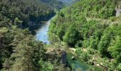 Tocht Stappen Massegros Causses Gorges - J6: Les Vignes-Mostuéjouls - Photo 6