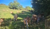 Randonnée Marche nordique Les Salces - Boucle du Loup depuis les Salces - Photo 9