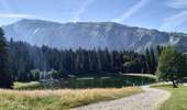 Percorso Marcia Morzine - 74-Morzine-lac-mines-or-col-Coux-6.7km-515m - Photo 1