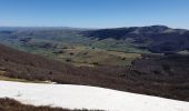 Tour Wandern Le Claux - Le Suc de la Blatte - Photo 2