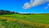 Tour Wandern Hamois - Marche Adeps à Natoye - Photo 4