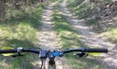 Trail Mountain bike Bédoin - Frache, crête de la Tune et Ventouret - Photo 5