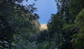 Tour Wandern Frontera - Sabinosa - El Sabinar - Ermita Virgen de Los Reyes (El Hierro) - Photo 10