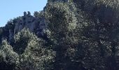 Trail Walking Cheval-Blanc - gorge regalon Claudine Dan - Photo 11