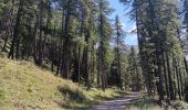 Excursión Senderismo Crots - boucle du lac Lauzerot depuis Gendre - Photo 20