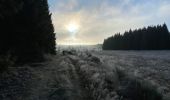 Tocht Stappen Büllingen - Vallée de la Schwalm & rocher du Bieley - Photo 4