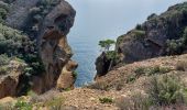 Tocht Stappen La Ciotat - la ciotat chapelle nd de la garde. à villa Teychene   - Photo 3