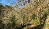 Trail Walking Waimes - Robertville Barrage-Reinhardstein-Bayehon-Xhoffraix-Walk-Robertville - Photo 13