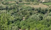 Randonnée Marche Berrias-et-Casteljau - Les gorges de Chassezac - Photo 7