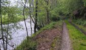 Trail Walking Stoumont - stoumont :  aller via corniche , retour via amblève - Photo 11