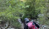 Trail Walking Aiguines - La Maline-Imbut-Vidal - Photo 6