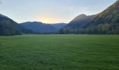 Tour Wandern Metzeral - Tour Steinabruck - Mittlach - Photo 4