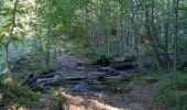 Tour Wandern Saint-Chély-d'Aubrac - Compostelle / Chemin du Puy : de Aubrac à Bonneval - Photo 11